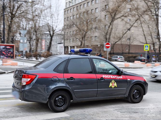 За выходные дни хакасские росгвардейцы задержали нескольких граждан, подозреваемых в преступлениях