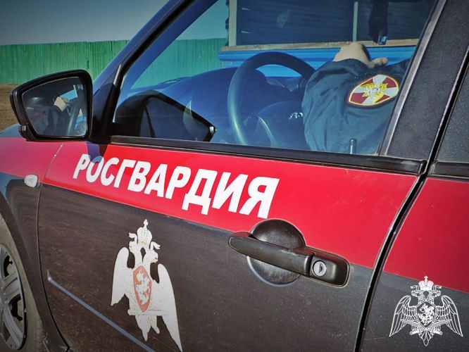Подозреваемых в нанесении побоев задержали сотрудники Росгвардии в Черногорске 