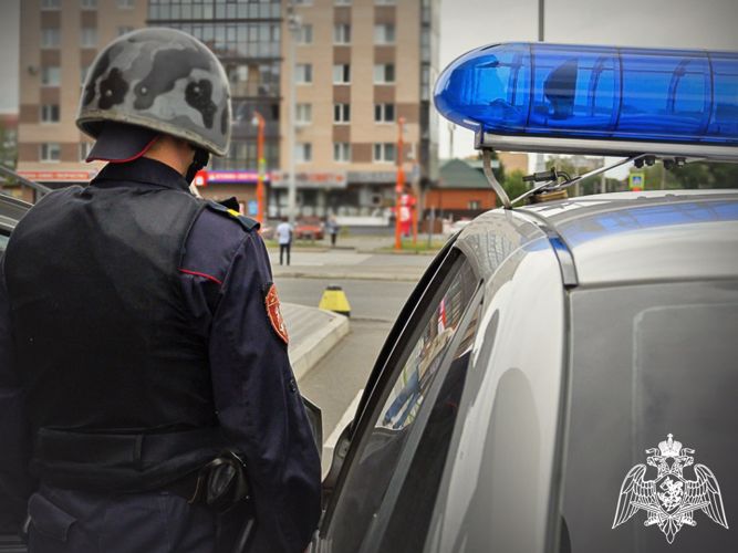 Сотрудники Росгвардии задержали в Абакане подозреваемого в краже 