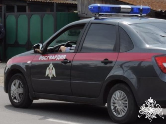 Подозреваемого в нанесении побоев задержали сотрудники Росгвардии в Черногорске 