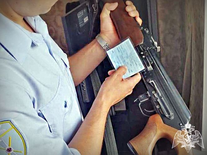 Почти 200 единиц оружия изъято из оборота инспекторами Росгвардии у жителей Хакасии 