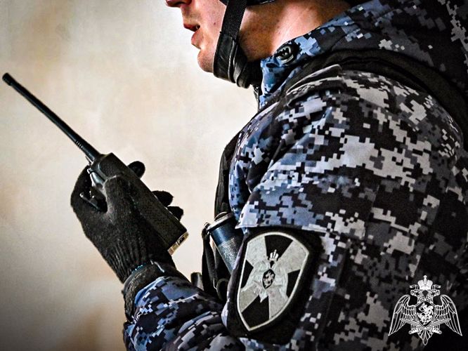 В Абакане росгвардейцы задержали подозреваемую в краже портативной колонки до того, как в магазине обнаружили пропажу