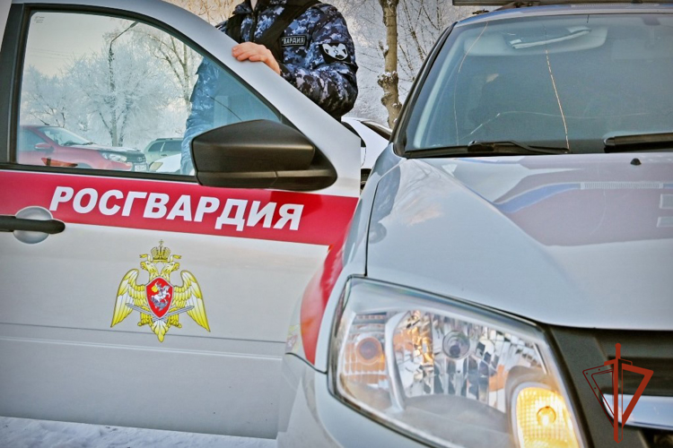 Росгвардейцы задержали жителей Черногорска, подозреваемых в повреждении чужого имущества