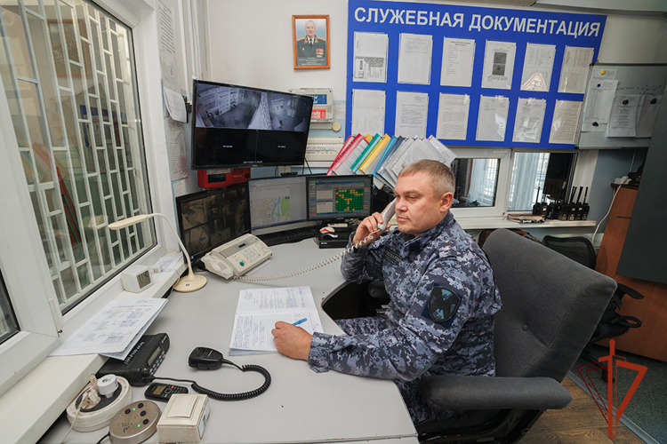 Росгвардия напоминает жителям Хакасии о том, как обезопасить имущество в новогодние праздники
