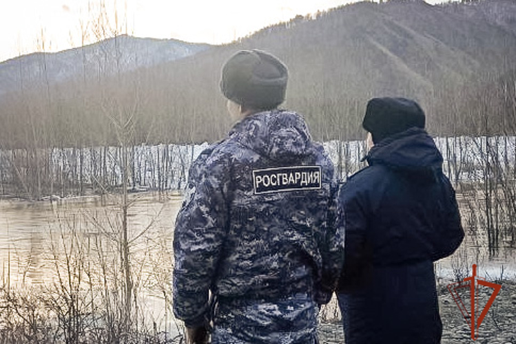 Сотрудники Росгвардии обеспечивают безопасность граждан в зоне чрезвычайной ситуации в Абазе