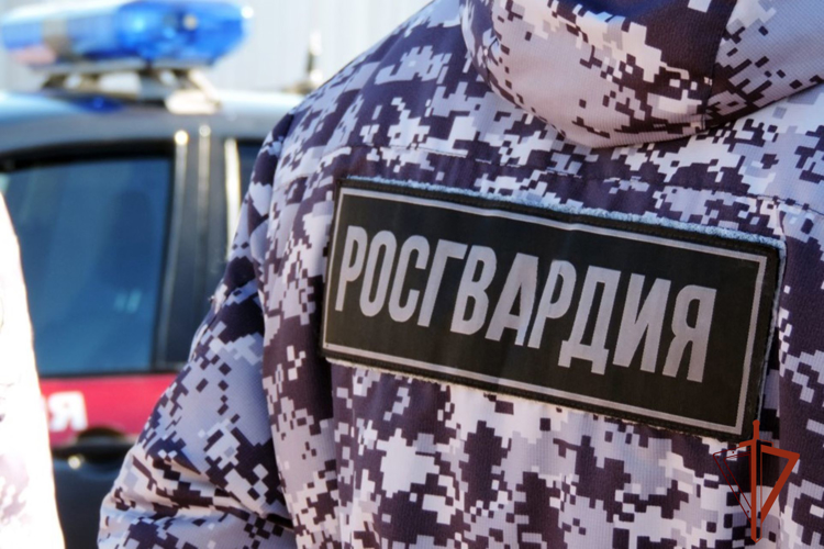 Росгвардейцы задержали жителей Сорска, подозреваемых в повреждении имущества и грабеже