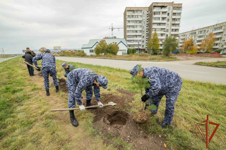 При участии росгвардейцев в Хакасии заложена сосновая аллея 