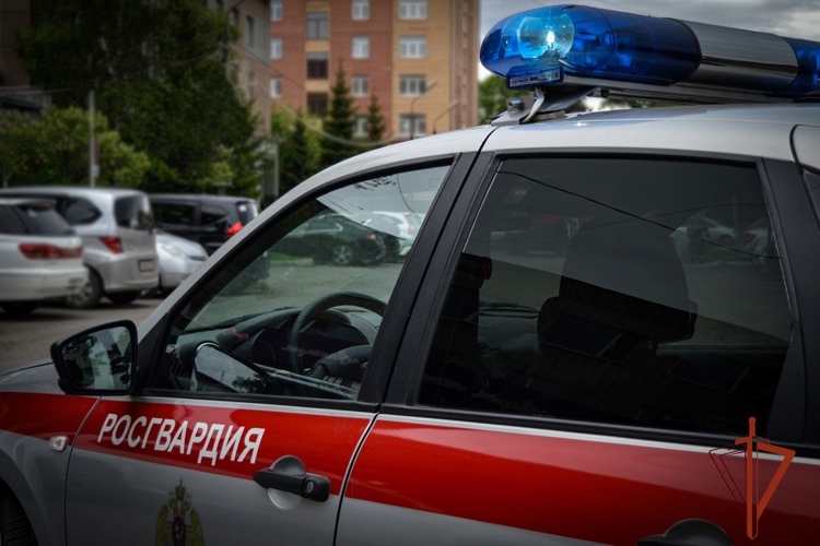 Росгвардейцы задержали в Абакане подозреваемых в преступлениях граждан
