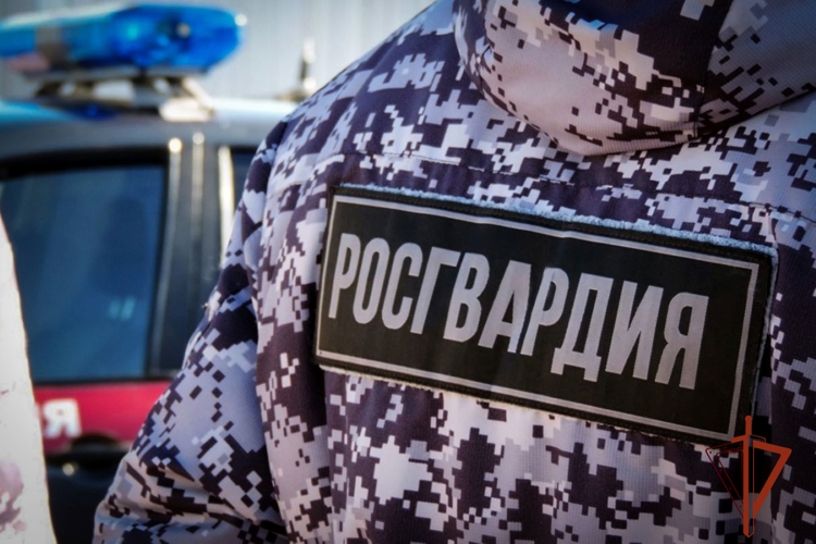 Росгвардейцы задержали в Абакане подозреваемого в краже с охраняемого объекта
