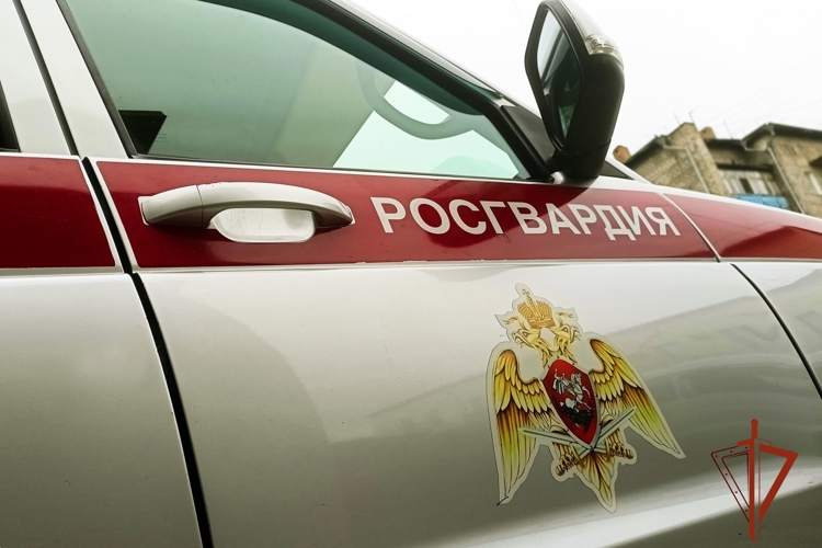 Подозреваемого в краже денег из чужого кошелька задержали сотрудники Росгвардии в Абакане