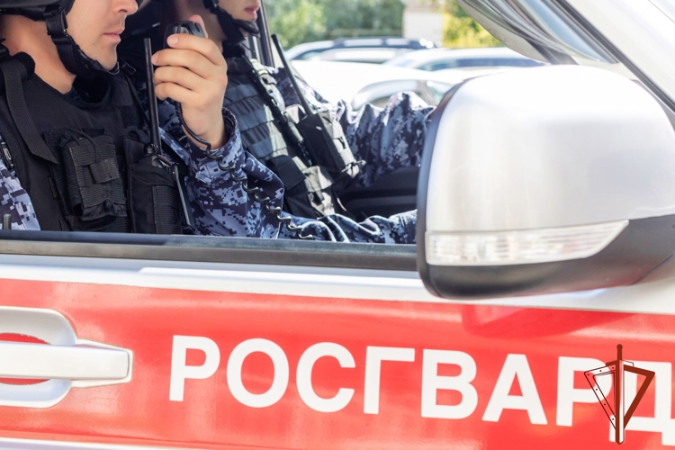 Подозреваемого в повреждении чужого автомобиля и краже задержали сотрудники Росгвардии в Черногорске