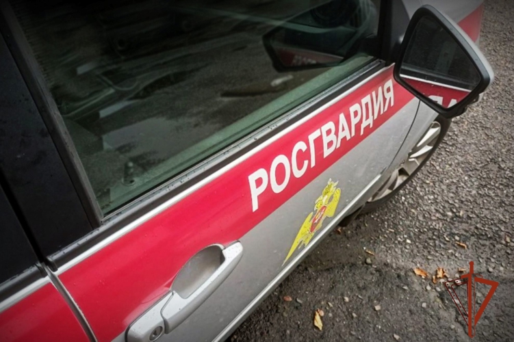 Сотрудники вневедомственной охраны Росгвардии задержали в Черногорске подозреваемого в повреждении чужого имущества