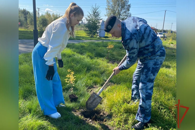 В память о сотруднике ОМОН Николае Симоненко в Абакане заложена жасминовая аллея 