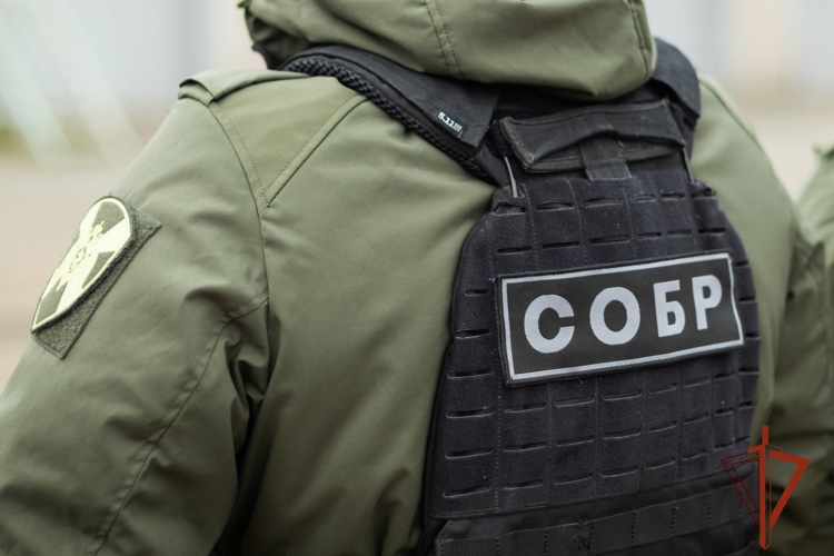 При содействии спецназа Росгвардии в Хакасии задержан подозреваемый в распространении детской порнографии