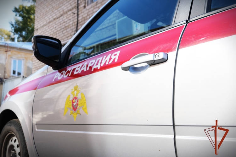 Сотрудники Росгвардии задержали в Абакане подозреваемую в краже с охраняемого объекта