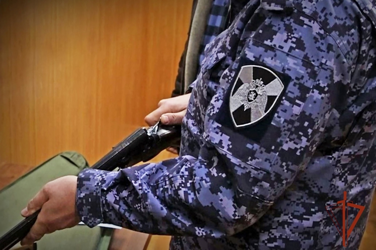 Инспекторы Росгвардии за месяц изъяли у жителей Хакасии 134 единицы оружия