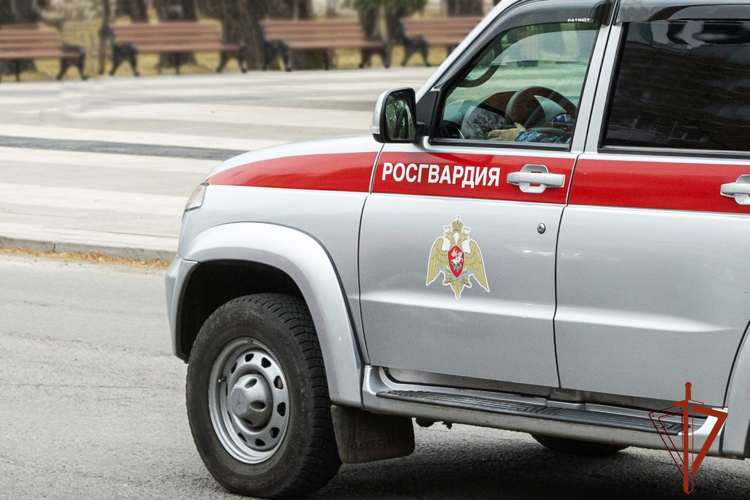 Росгвардейцы задержали в Абакане подозреваемого в умышленном повреждении имущества