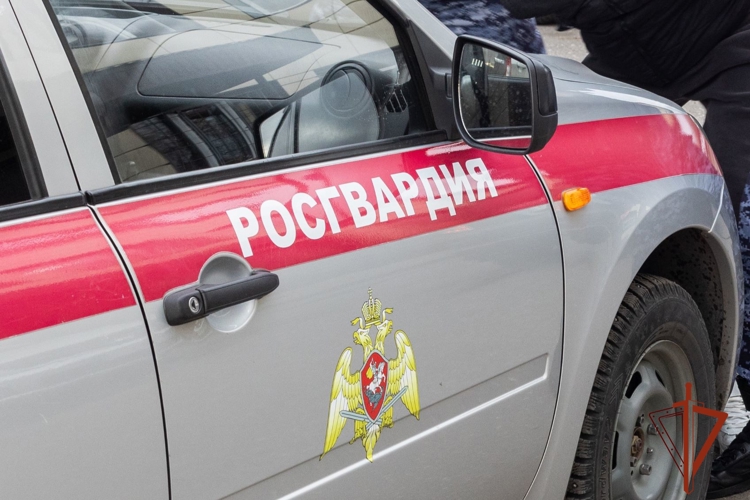 Подозреваемых в краже и умышленном причинении вреда здоровью задержали росгвардейцы в Черногорске