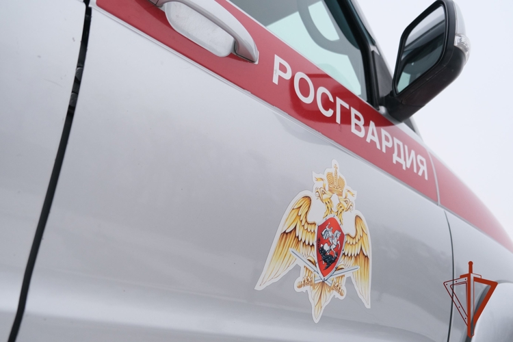 Сотрудники вневедомственной охраны Росгвардии задержали в Абакане подозреваемого в краже из торгового центра