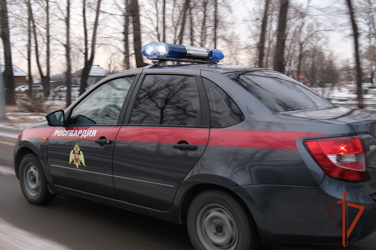 Росгвардейцы задержали подозреваемую в двойной краже жительницу Абакана