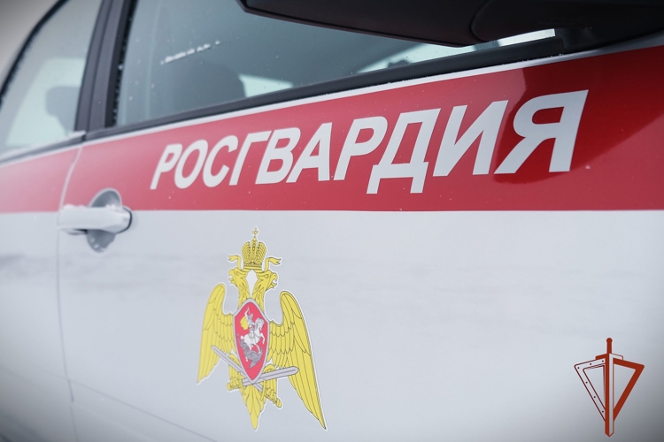 Росгвардейцы задержали в Абакане находившегося в розыске гражданина