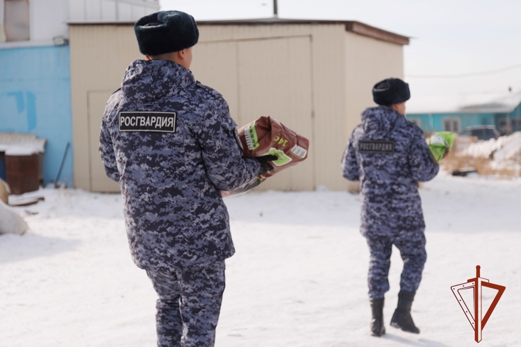 Сотрудники Росгвардии пополнили запас корма в приюте для животных в Хакасии