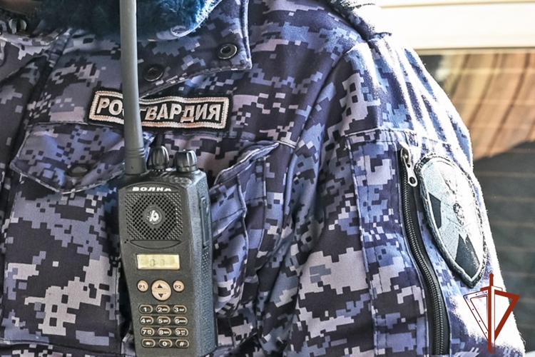 Подозреваемого в краже товаров задержали росгвардейцы в Абакане