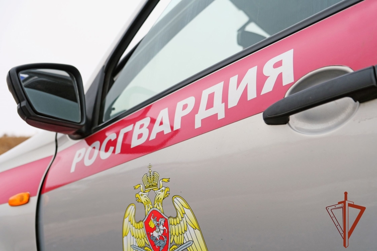 Росгвардейцы задержали в Абакане находившегося в федеральном розыске гражданина