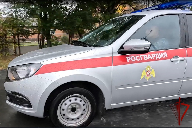 Росгвардия продолжает оказывать содействие городу Абаза по стабилизации обстановки из-за выходов медведей